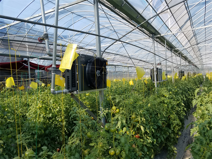 綠鑫生態(tài)農場